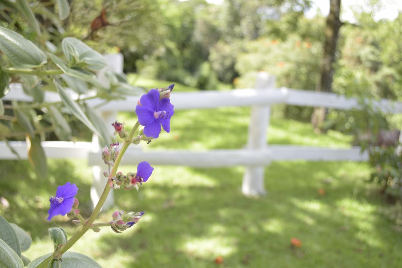 Hotel Fazenda Fonte Colina Verde 圣代佩德罗 外观 照片
